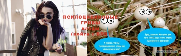 таблы Алексеевка