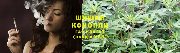 apvp Алзамай