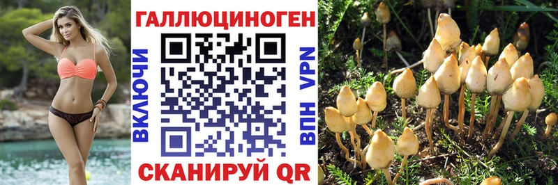 Галлюциногенные грибы Psilocybine cubensis  Купить  Маркс 