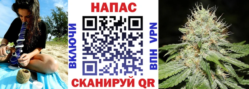 Каннабис сатива  Купить где  Маркс 